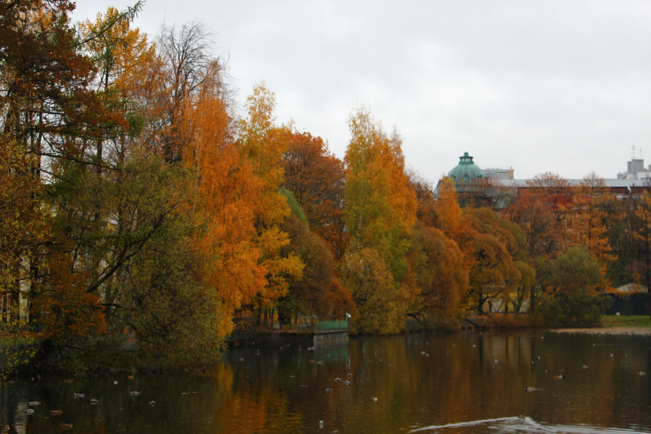 Солнечный Петербург вновь окрасился в осенние оттенки после снегопада